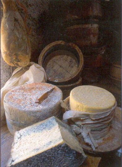 Le Bleu de Termignon, fromage d'alpage
